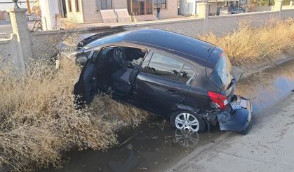 Yola Çıkan Köpek Kazaya Neden Oldu: 1 Yaralı