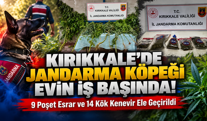 Kırıkkale’de Jandarma Köpeği EVİN İş Başında!