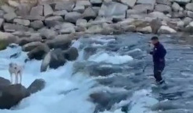 Köpeği Bahşılı ekibi kurtardı