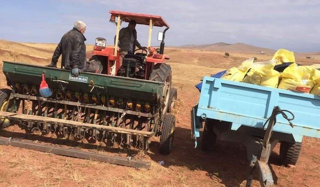Kırıkkale'de  tarım alanları ekilmeye başlandı.