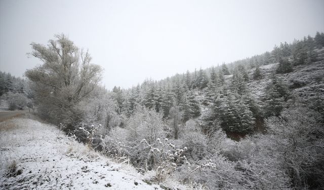 Eskişehir'in yüksek kesimlerinde kar yağışı etkili oldu