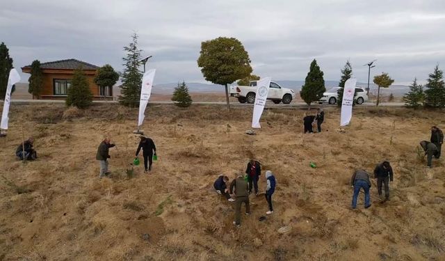 Cumhuriyet'in 100.yılına 71 fidan