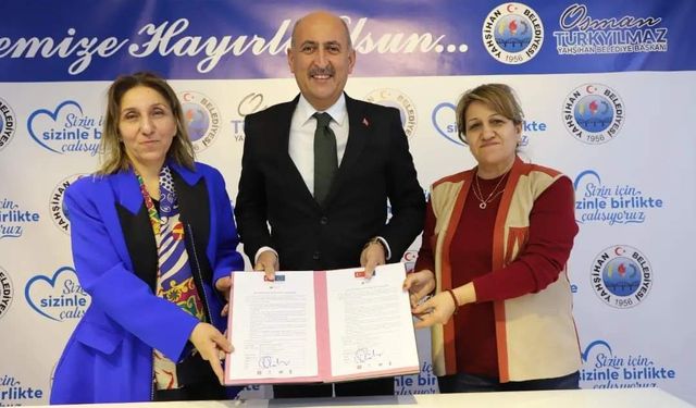 Bozkırda Açan Sarı Çiğdemler