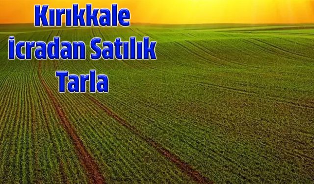 Yahşihan’da Üç Tarla Mahkemeden Satışa Çıkarılıyor