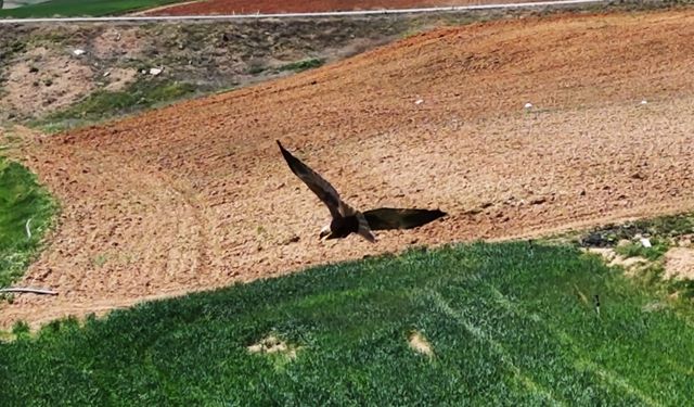 Kırıkkale'de Ortaya Çıktı, "Dron" İle Görüntülendi