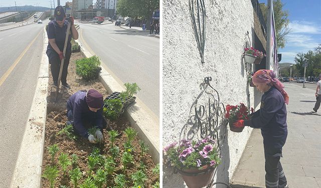 Kırıkkale Belediyesi Şehri Çiçeklerle Donatıyor