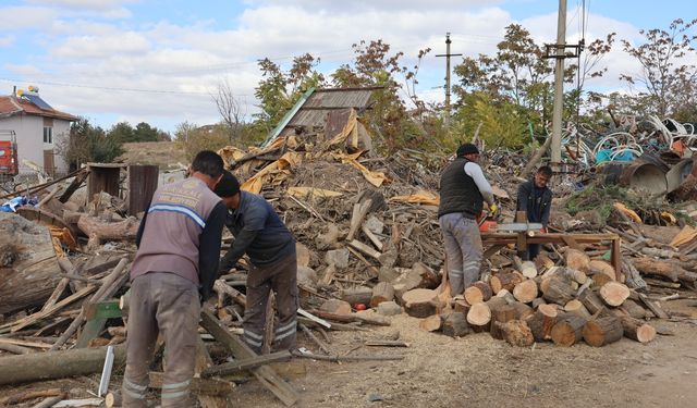 Budanan Ağaçlar İhtiyaç Sahiplerine Yakacak Oluyor