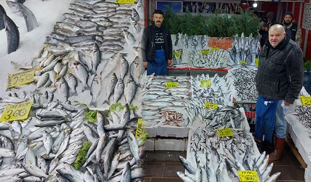 Kırıkkale’de Balık Sezonu Başladı: Tezgahlar Şenlendi