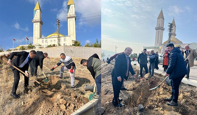 Kırıkkale Ihlamur Kokularıyla Şenlenecek