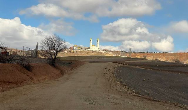 Külliye Yolu İçin Ağaç Dikim Kampanyası Başlatıldı