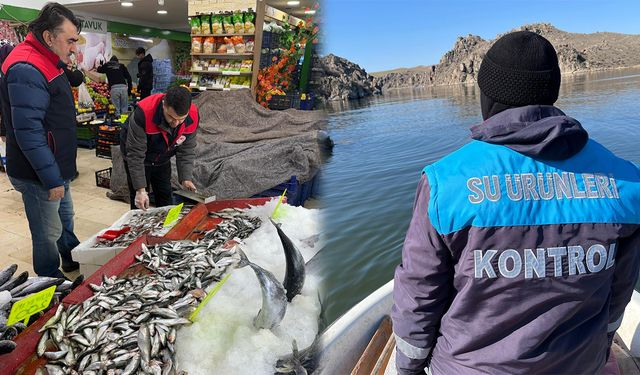 Kırıkkale’de Su Ürünleri Denetimi Tamamlandı