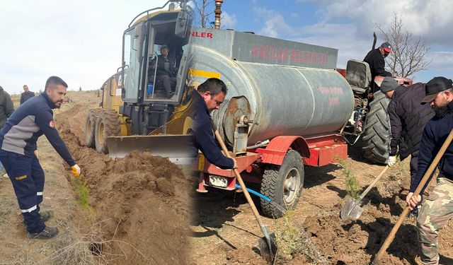 Hacılar’da Ağaçlandırma Çalışmaları Devam Ediyor