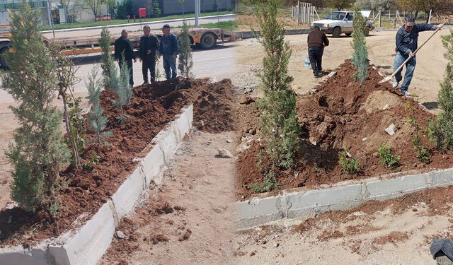 Kırıkkale’de “Selatü Selam Yolu” Yeşilleniyor