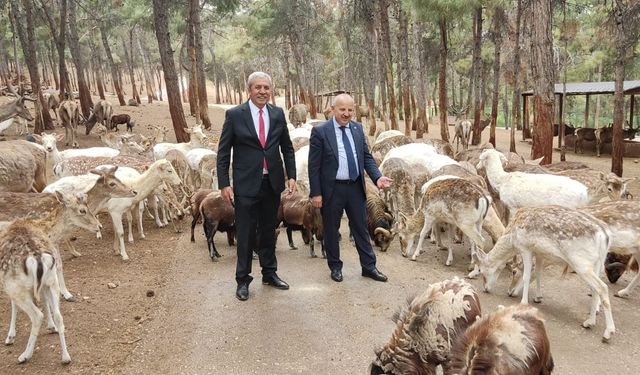 Keskin’in Hayvanat Bahçesi Projesine Gaziantep’ten Destek