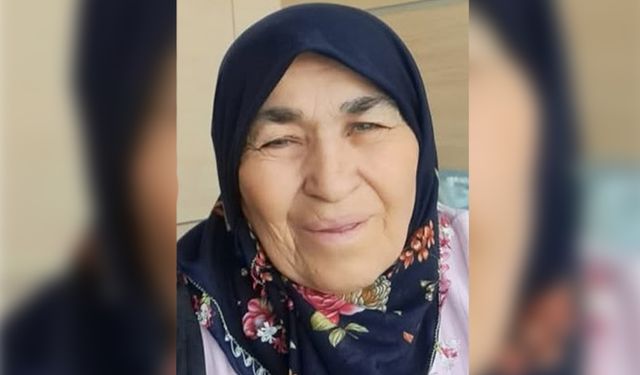 Ahılı Köyü Bir Değerini Kaybetti