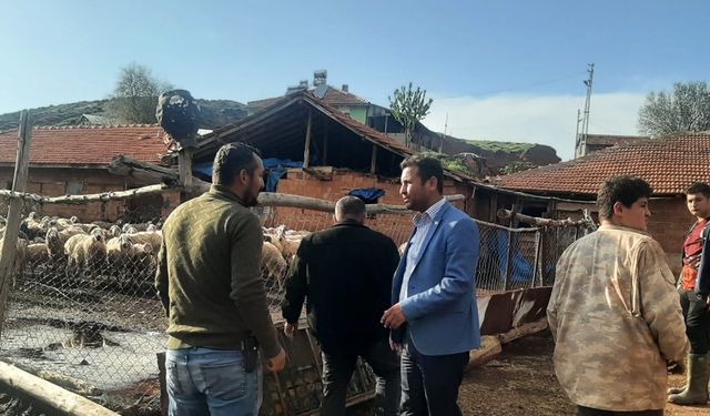 Yenice Köyü’nde Sel Felaketi: Hayvan Kaybı Yaşandı, Can Kaybı Yok
