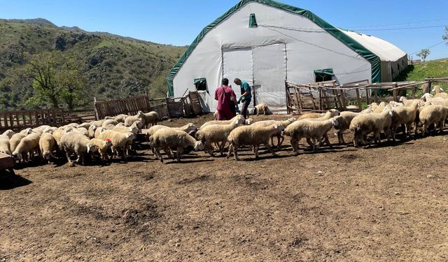Bahşılı’da Aşı ve Tarama Devam Ediyor
