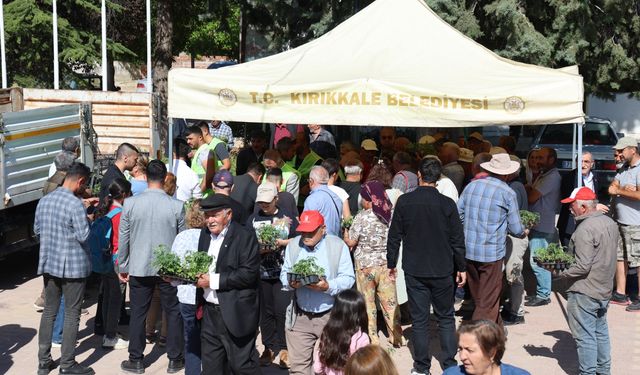 Kırıkkale Belediyesi’nden Üreticiye 300 Bin Sebze Fidesi Desteği