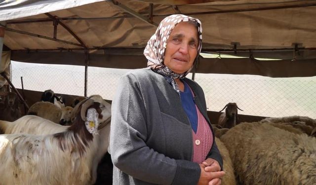 Evlat Gibi Büyüttü, Kurtlara Kaptırdı