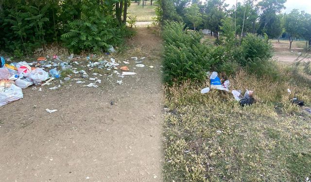 Karaahmetli Tabiat Parkı'nda Çöp Sorunu: Doğaya Bu Reva mı?