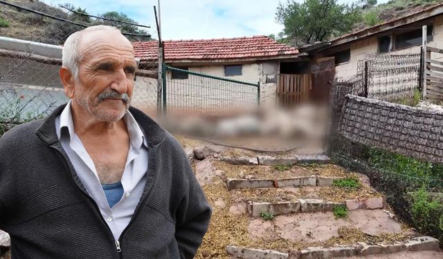 Ağıla Giren Kurt, 16 Küçükbaş Hayvanı Telef Etti