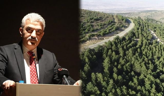 Valilikten Yangın Tedbiri: 5 Ay Boyunca Ormanlara Giriş Yasak