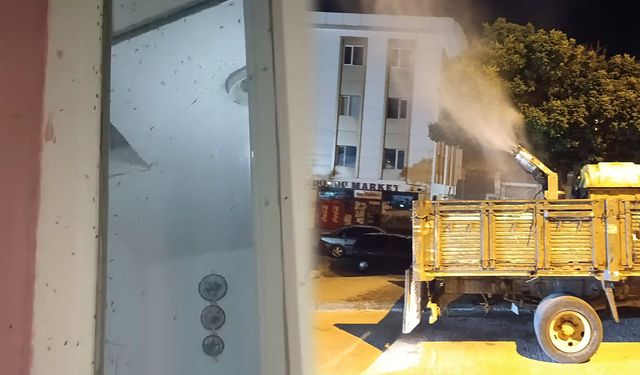 Bahşılı’da Sinek Alarmı: Yoğunluk Bu Yıl Rekor Seviyede