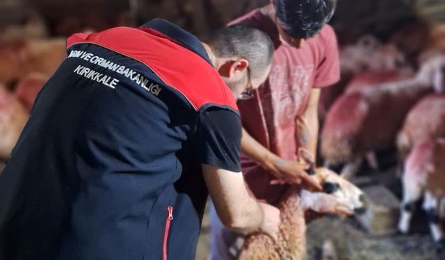 Köylerde Aşılama ve Küpeleme Başladı