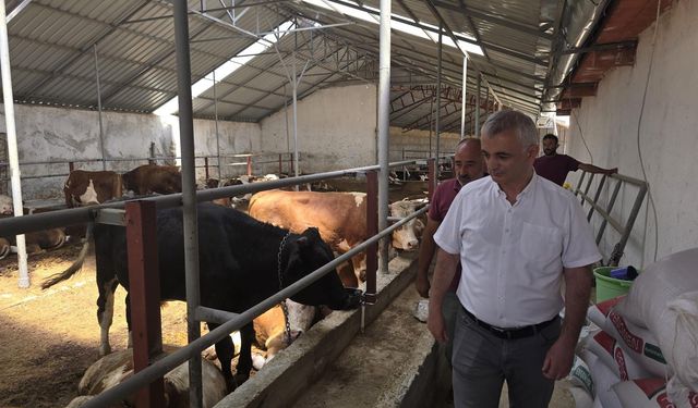 İl Müdürü Ateş’ten Vural Besi Çiftliği’ne Teknik Ziyaret