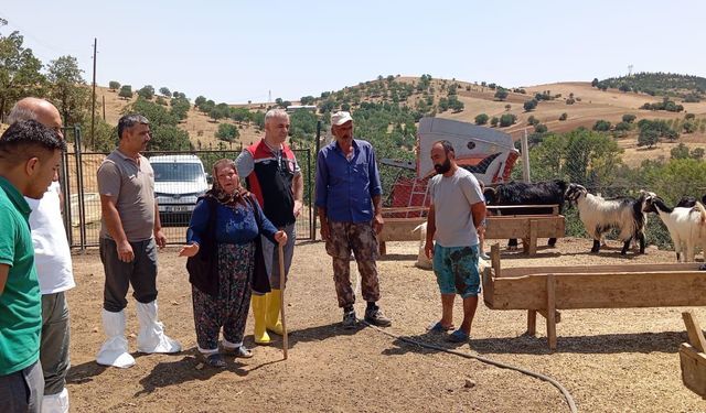 Bahşılı’da Küçükbaş Hayvan Ölümleri İnceleme Altında