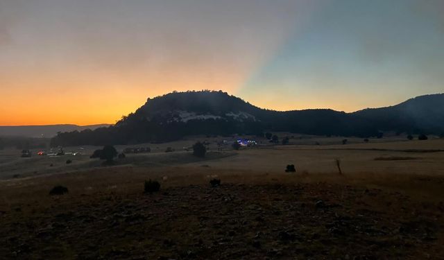 Eskişehir'deki Orman Yangınında 10 Şehit