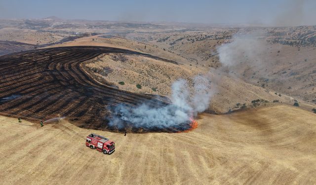 Kırıkkale’de Anız Yangını: Yeni Dikilen Fidanlar Küle Döndü