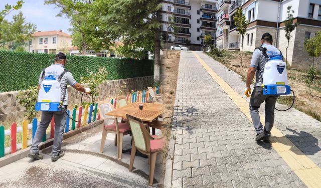 Delice’de Haşere İlaçlama Çalışmaları Sürüyor