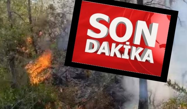 Ceritmüminli'de gece yangını