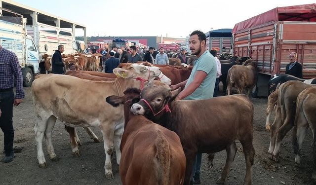 Kırıkkale’de Hayvan Pazarı Hareketliliği Başladı