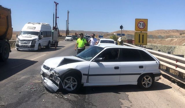 Sürücüyü sokan arı kaza yaptırdı