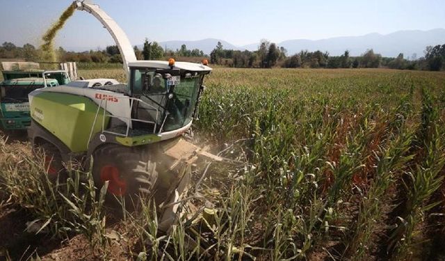 Kırıkkale’de Silajlık Mısır Hasadı Yapıldı