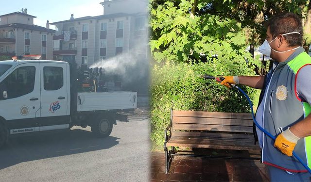 Belediye Ekipleri Şehirde Düzenli İlaçlama Yapıyor