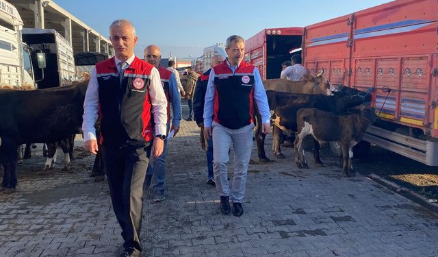 Kırıkkale’de Hayvan Refahı İçin Kontroller Devam Ediyor