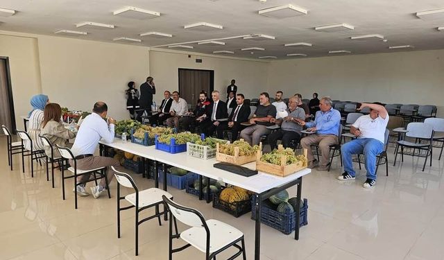 Delice’de Bağcılık ve Sulama Teknikleri Çalıştayı Düzenlendi
