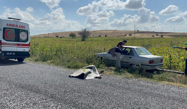 Komşudan Kardeşlere Kanlı Pusu: 2 Ölü