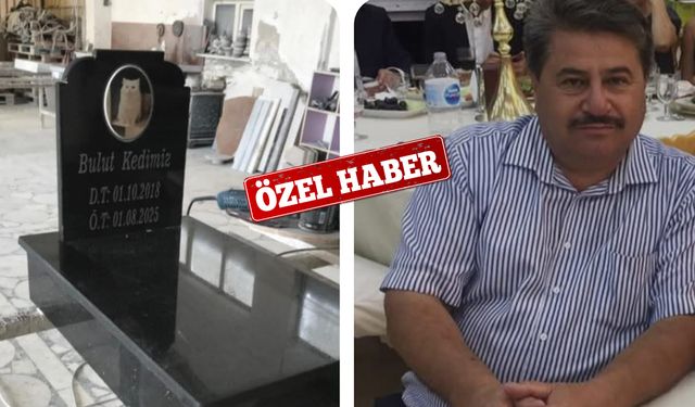 Kırıkkale’de Ölen Kediye Mermerden Mezar Yapıldı
