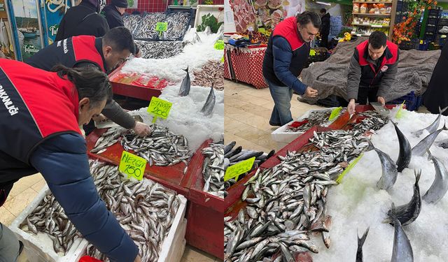 Kırıkkale’de Su Ürünleri Denetimi Sürüyor