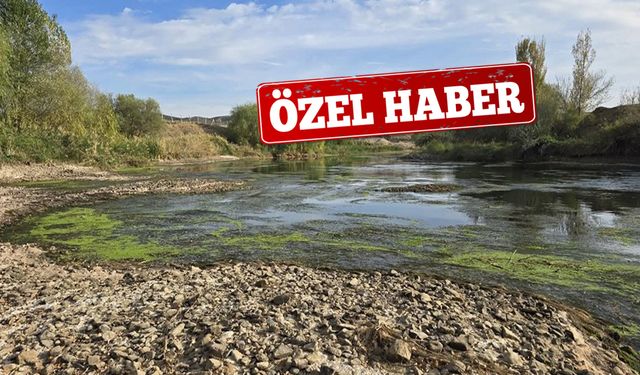 Kızılırmak’ın Debisi Azaldı, Irmak Yatağı Daraldı