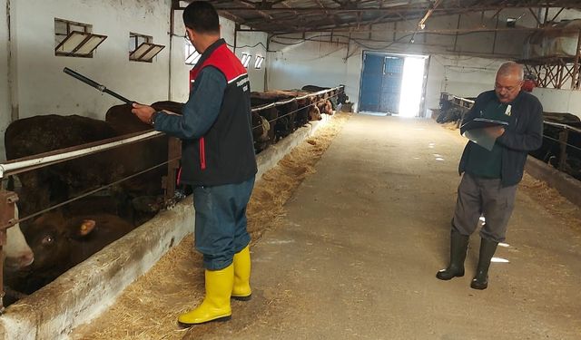 Kırıkkale’de İthal Besilik Hayvanlar Karantinaya Alındı