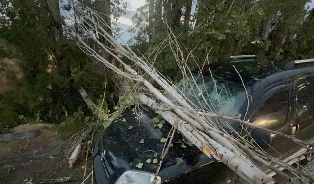 Üzerine Ağaç Dalı Düşen Araç Kullanılamaz Hale Geldi