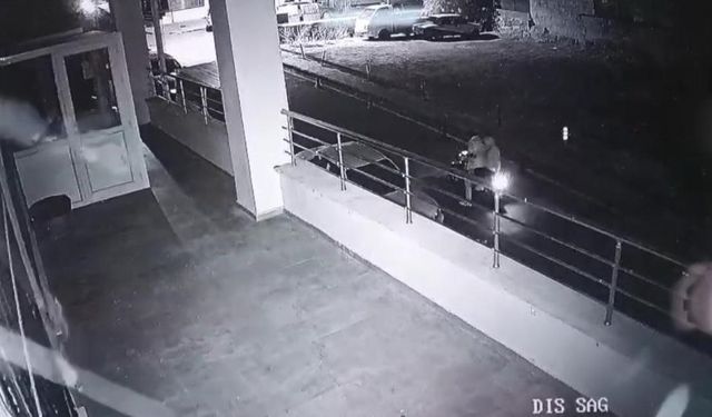 İş Yerine Kurşun Yağdırdılar