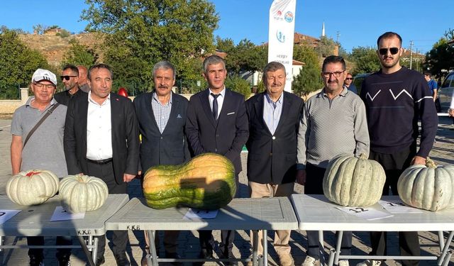 Kırıkkale’de 14 Kiloluk Balkabağı Birinci Seçildi