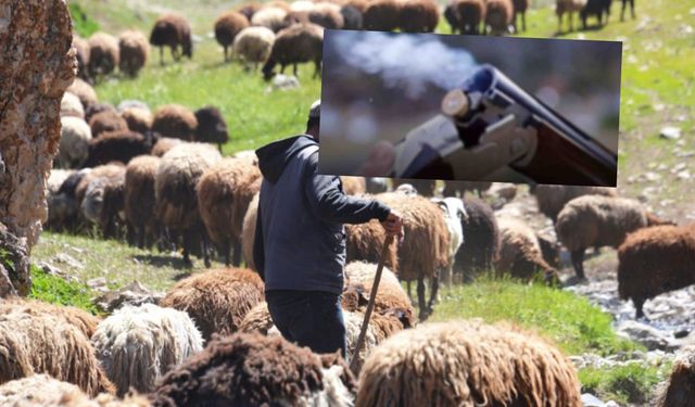 Kırıkkale'de çoban gözünden vuruldu