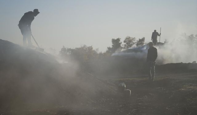 Meşe Odunundan Mangal Kömürü: Emekle Gelen Ekmek